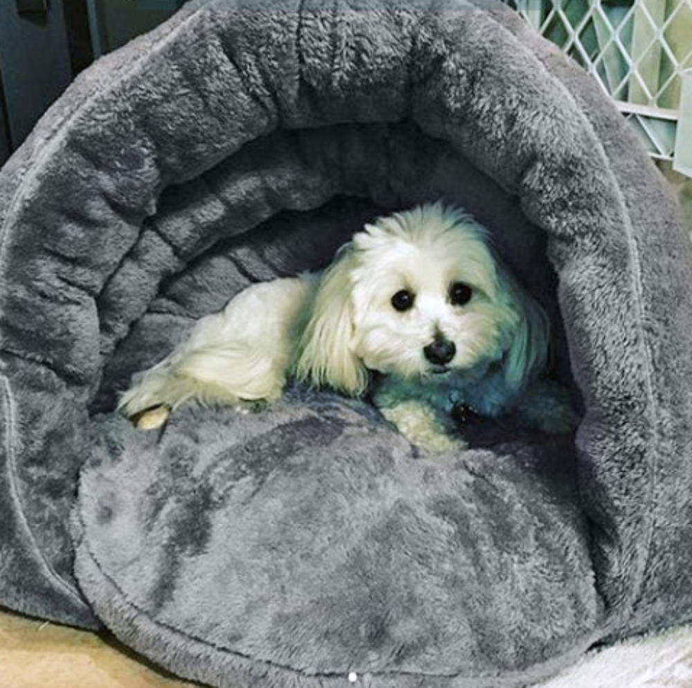 ❤️HOST PICK❤️ BED - CUDDLE POUCH